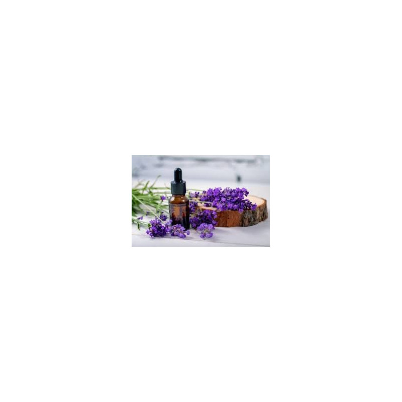 Huile essentielle de lavande vraie — Distillerie Dubois